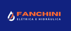 https://www.lojaeletrofanchini.com.br
