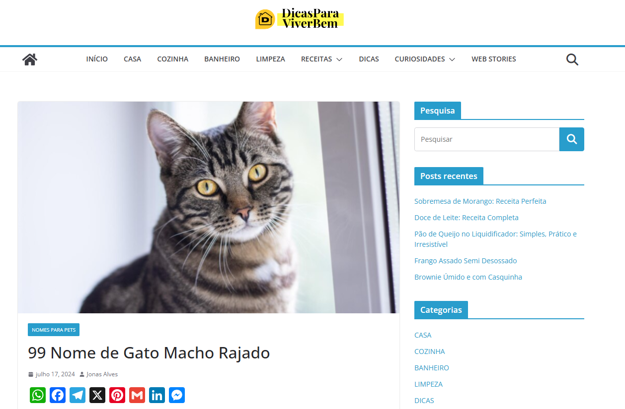 https://dicasparaviverbem.com/nome-de-gato-macho-rajado/