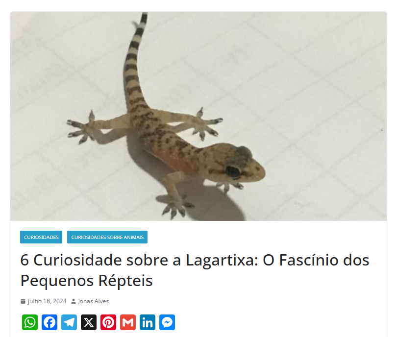 https://dicasparaviverbem.com/curiosidade-sobre-a-lagartixa/