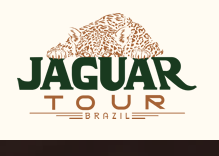 https://jaguartoursbrazil.com/