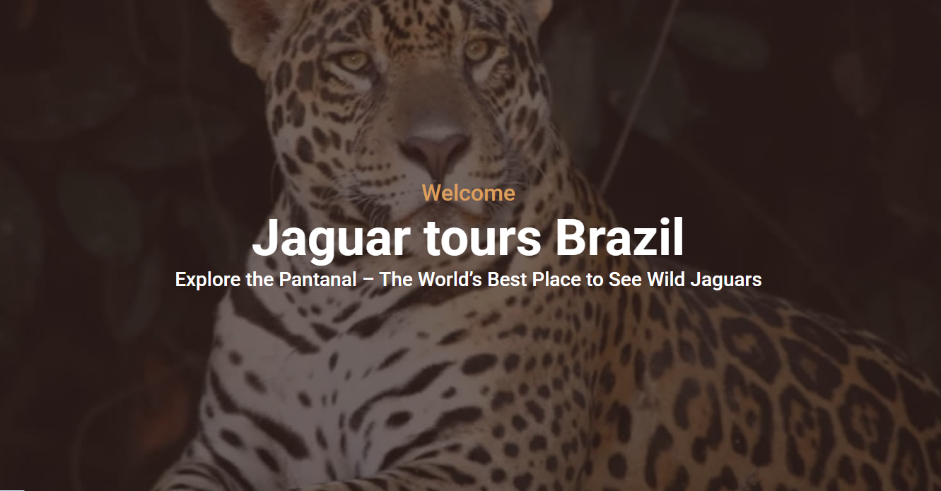 https://jaguartoursbrazil.com/