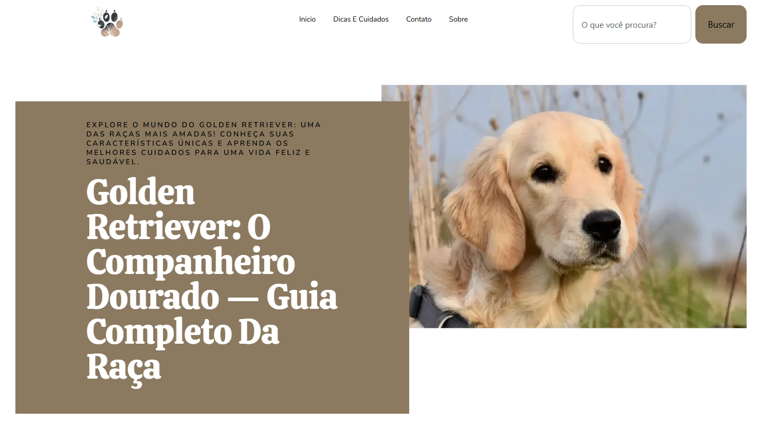 https://gabrielmaciel.net/golden-retriever/