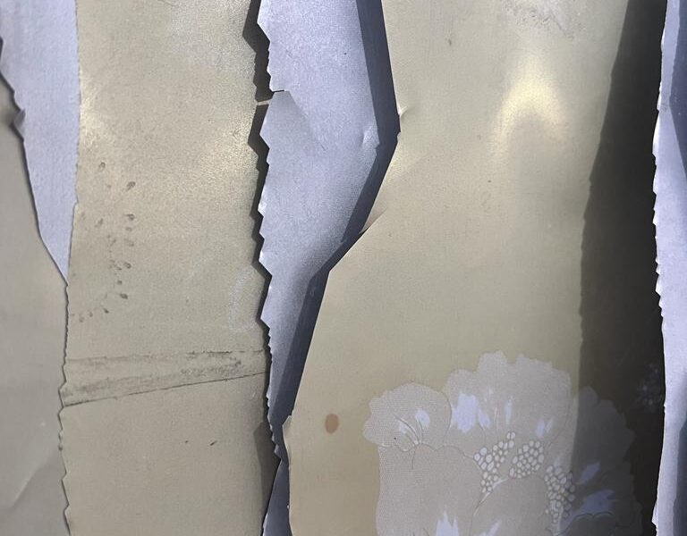 O Guia Definitivo para Compradores de N&iacute;quel: Maximizando o Valor da Sua Sucata com a Zap Sucatas