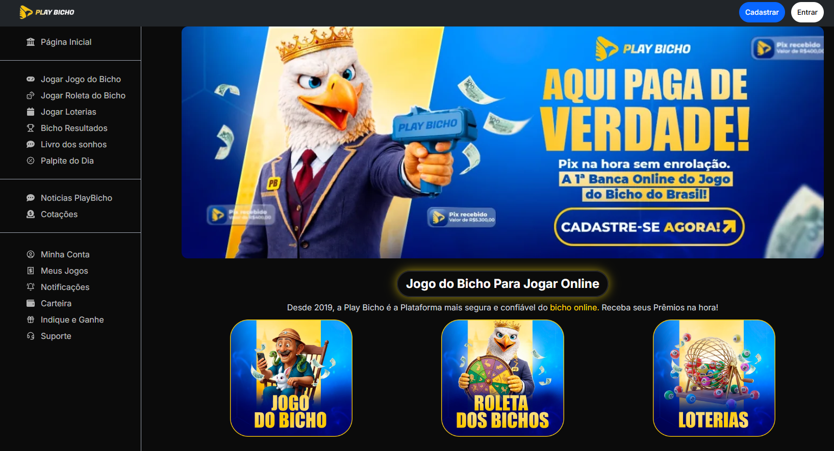 Play Bicho